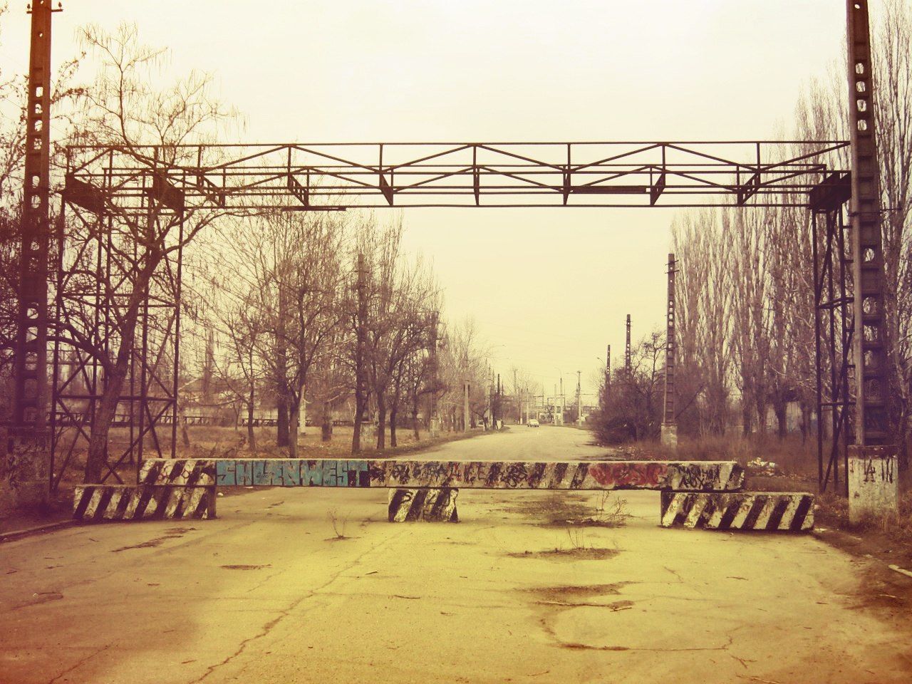 clear sky, tree, railing, tranquility, built structure, bridge - man made structure, water, connection, bare tree, nature, tranquil scene, wood - material, river, footbridge, sunlight, outdoors, architecture, scenics, day, sky