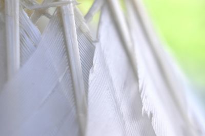 Close-up of clothes hanging on white wall