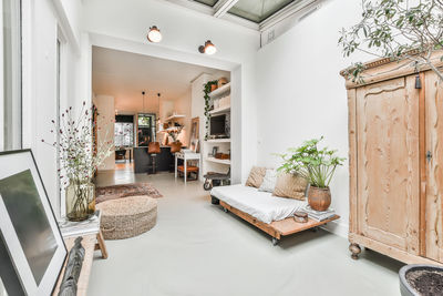 Potted plants on table at home