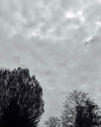 Low angle view of tree against cloudy sky