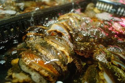 Close-up of fish for sale in market