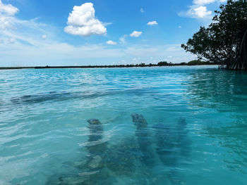 water