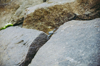 High angle view of heart shape on rock