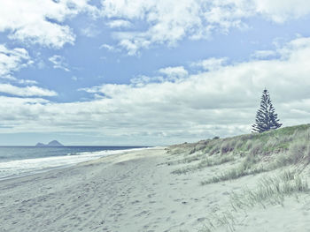 Scenic view of beach against sky