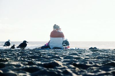 Rear view of woman sitting by seagulls at sandy beach against clear sky