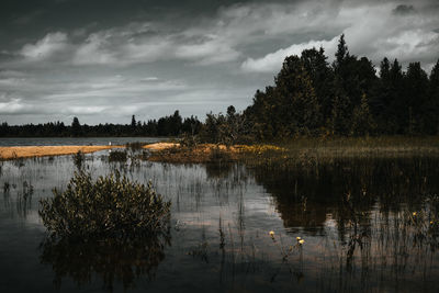 Reflection of trees in lake against sky