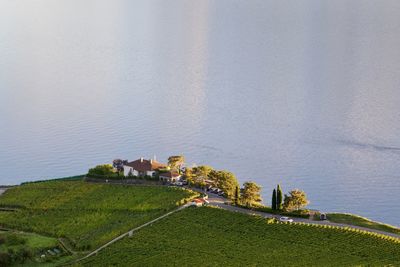 High angle view of trees by sea against sky