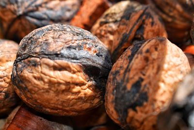 Close-up of bread