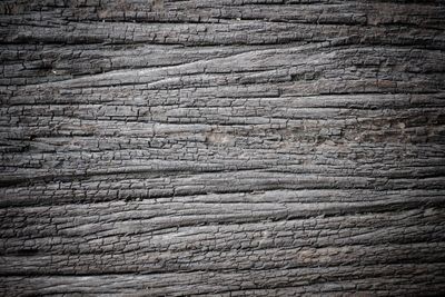 Full frame shot of weathered wood