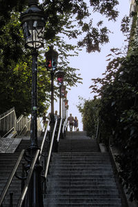 Low angle view of stairs along trees