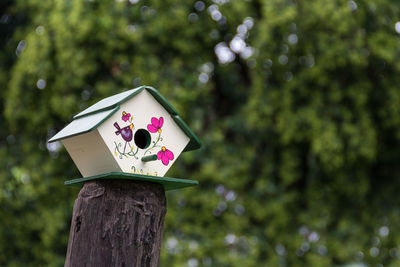 Close-up of birdhouse on wooden post