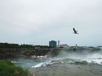 Seagull flying over sea against sky