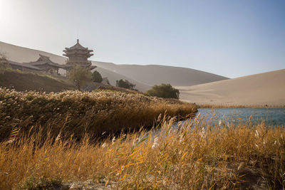 Scenic view of landscape against clear sky