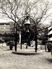 Street light and trees in city