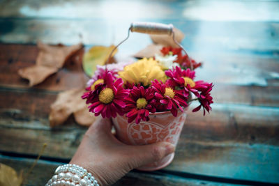 Close-up of woman holding pink flowering plant