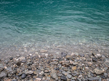 High angle view of pebbles and clear blue water on beach