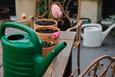 Close-up of potted plants on table