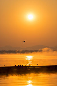 Silhouette bird flying over sea against sky during sunset