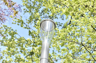 Low angle view of street light against sky