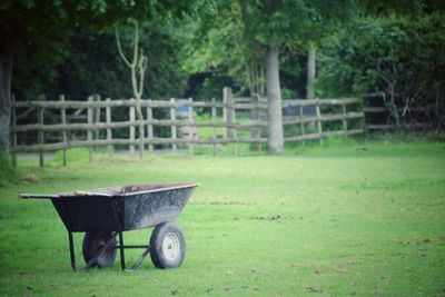 Horse cart on field