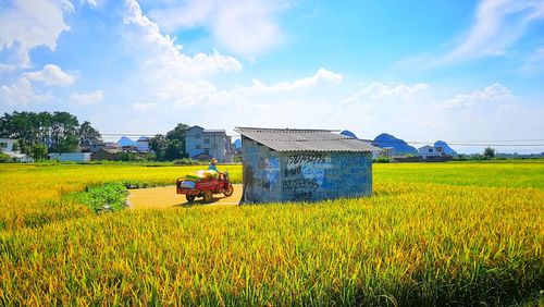 Scenic view of agricultural field against sky