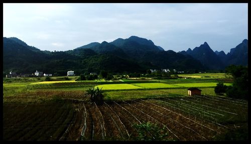 Scenic view of field against cloudy sky