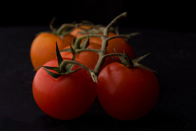 Close-up of tomatoes against black background