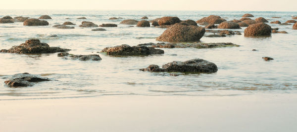 Rocks on the beach.