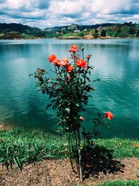 Scenic view of lake against cloudy sky