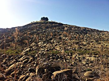 Scenic view of landscape against clear sky
