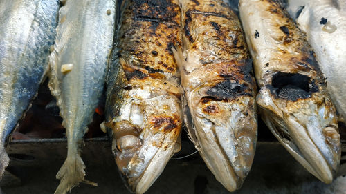 High angle view of fish for sale in market