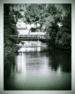 Reflection of trees in river