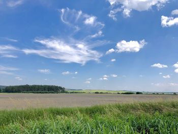 Scenic view of agricultural field against sky