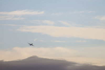 Low angle view of airplane flying in sky