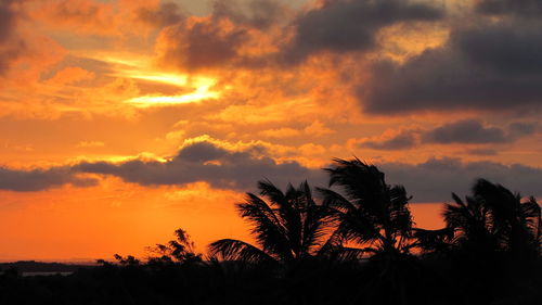 Silhouette trees against orange sky