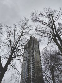 Low angle view of tree and building against sky