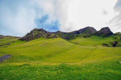 Scenic view of field against sky