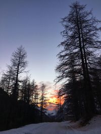 Low angle view of silhouette trees against sky during winter