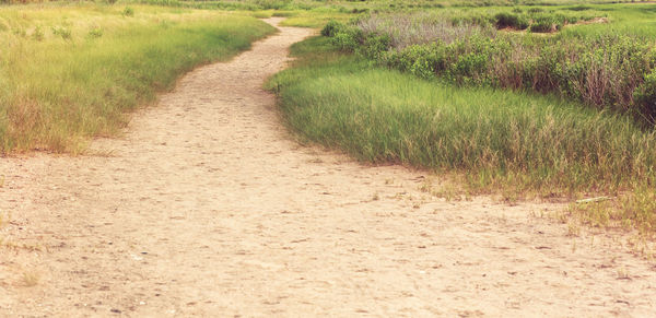 Dirt road passing through field