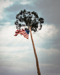 Low angle view of flag against sky