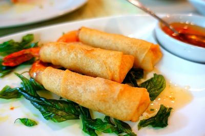 Close-up of served food in plate