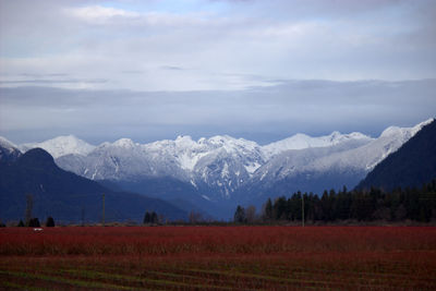 Scenic view of snowcapped mountains in front of field against cloudy sky