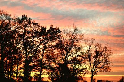 Low angle view of silhouette trees against dramatic sky