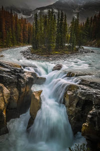 Scenic view of waterfall in forest