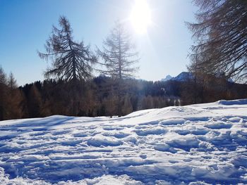 Snow covered land and trees against sky