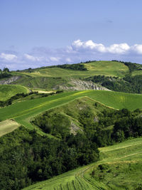 Scenic view of landscape against sky