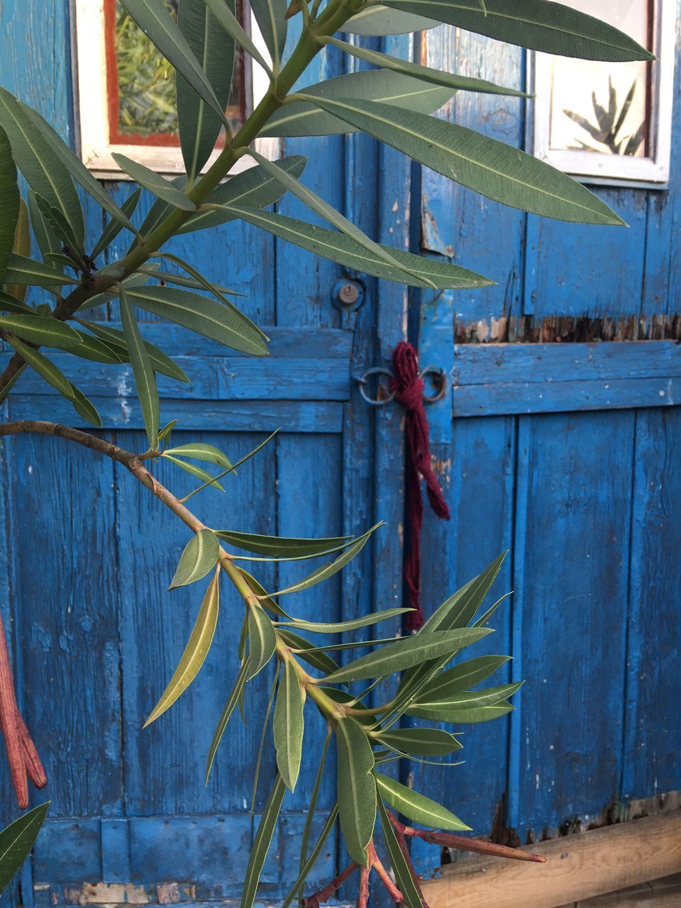 CLOSE-UP OF BLUE METAL TIED ON METALLIC STRUCTURE AGAINST BUILDING