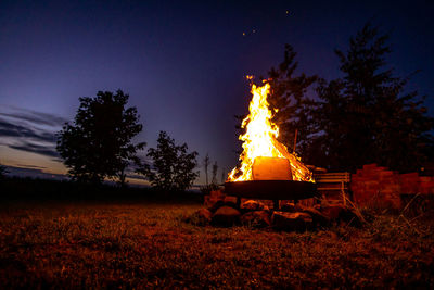 Bonfire on field by trees against sky at night