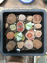 High angle view of sushi served on table