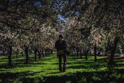 Rear view of woman walking at park